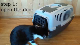 How To Get Your Cat in a Crate  The Easy Way [upl. by Hound]