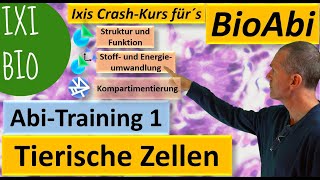 Tierische Zellen  Anwendungsaufgaben zur Abivorbereitung AbiTraining 1 Bau der tierischen Zelle [upl. by Armil457]