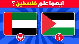 خمن علم الدولة الصحيح 🤔🚩 تحدي تخمين الأعلام المتشابهة 🤯⏰ [upl. by Anelrahs]