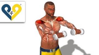 Dumbbell Front Raise [upl. by Musette]