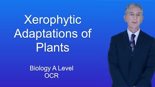 A Level Biology Revision quotXerophytic Adaptations of Plantsquot [upl. by Hurlbut]