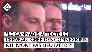 Cannabis une enquête de Mathieu Kassovitz amp Antoine Robin  C à Vous  01042024 [upl. by Zink]