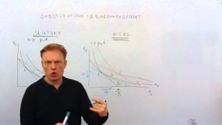 Substitutionseffekt und Einkommenseffekt nach Slutsky und Hicks [upl. by Llemaj]