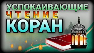 УСПОКАИВАЮЩИЕ ЧТЕНИЕ КОРАН СЛУШАЕТЕ ПЕРЕД СНОМ [upl. by Yntrok513]