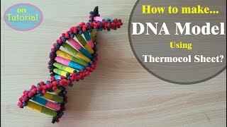 How to Make a DNA model using Thermocol [upl. by Maddi46]