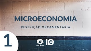 Microeconomia  Aula 1  Restrição orçamentaria [upl. by Nerra]