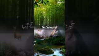 Byshuk dekhawa insan ko barbaad kr deta hyislamicgreeting viralvideo [upl. by Kasper333]