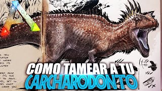 COMO TAMEAR A TU CARCHARODONTOSAURUS  Guia Español  Ark Survival Evolved [upl. by Erot]