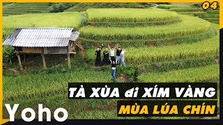 Tà Xùa  Trạm Tấu Dừng Chân Ở Xím Vàng Mùa Lúa Chín [upl. by Eziechiele]