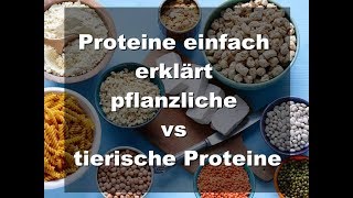 Tierische vs pflanzliche Proteine Proteine einfach erklärtpflanzliche Proteinquellen [upl. by Airdnal906]