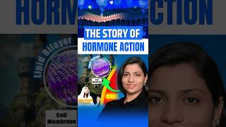 The Story of Hormone Action  NEET Concept neetbiology neet2025 neet2024 neet riturattewal [upl. by Airla414]