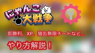 【iOS版】にゃんこ大戦争 チートのやり方解説！ [upl. by Llertak24]