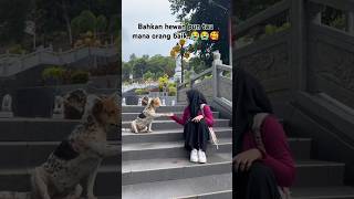 momenharu di tempat wisata‼️‼️wisata perjalanan momenharu viraltiktok inginmemelukdirimu [upl. by Retlaw]