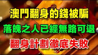 澳門江湖風雲（18）【龍兄虎弟】澳門翻身的7萬被人騙走，翻身計劃失敗，我已經無路可退 [upl. by Ardnuassac991]