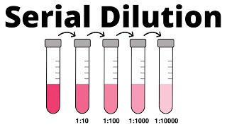 How to prepare a Serial Dilution [upl. by Ko]