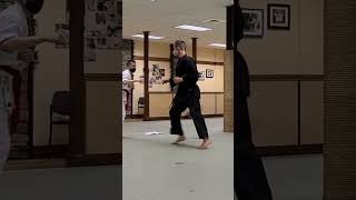 Dont Stand in Range  Tang Soo Do Sparring Clip [upl. by Ijar938]