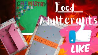 Chemistry Investigatory Project File Class 12  Food Adulterants  Pdf link in description cbse [upl. by Amoeji557]