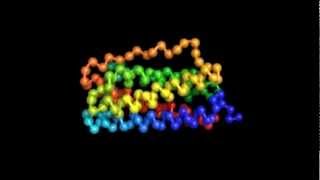 Protein Folding [upl. by Renzo]