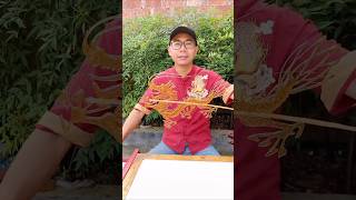 Dragon Candy Banay Dilam  facts amazingfacts [upl. by Ahtiekahs209]