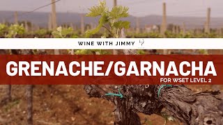 Grape Varieties GarnachaGrenache for WSET Level 2 [upl. by Lecroy]