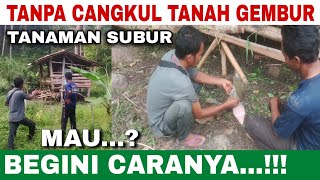 TANPA CANGKUL‼️TANAH GEMBUR TANAMAN SUBUR MAU BEGINI CARANYA [upl. by Lockhart]