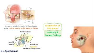 Head amp neck exam IV TMJ introduction [upl. by Moriarty87]