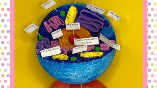 How to make animal cell model  science project  2minutesscience548 [upl. by Nurav910]