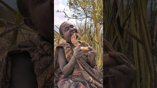 Wow Thats incredible delicious Roots edible by tribe in Forest hadzabetribe villagelife food [upl. by Olimac605]