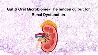 Gut amp Oral Microbiome The hidden culprit for Renal Dysfunction renaldisease kidneydisease [upl. by Lledrac]