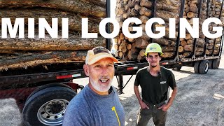 UNIQUE LOGGING JOBS AND WOOD MARKETS [upl. by Mulry667]