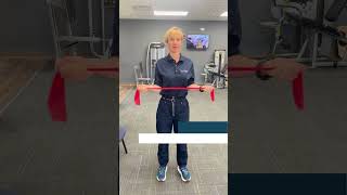 Rotator Cuff Strengthening Exercises [upl. by Erodavlas]