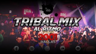 Tribal Mix Al Ritmo de Escapade 2001 Mix 2023  Dj Echo [upl. by Naida350]