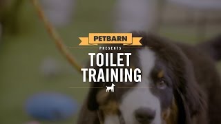 How to toilet train your puppy in no time [upl. by Vickie]