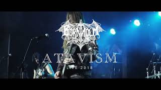 BORNHOLM  Atavism  Live  Dürer Kert 2018 [upl. by Ormsby903]