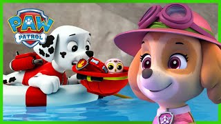 Más de 1 hora de rescates de Skye y Marshall  PAW Patrol Episodio Español  Patrulla de Cachorros [upl. by Ruder629]