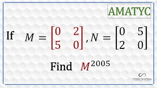 Matrix2005 from the AMATYC 2005 exam [upl. by Sky461]