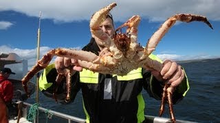 King crabbing in Northern Norway  Königskrabbenfang im Norden Norwegens [upl. by Chirlin615]