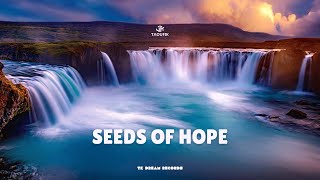 Taoufik  Seeds Of Hope Official Music 2024 [upl. by Naryb]