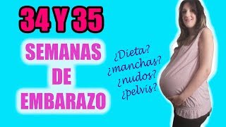 34 SEMANAS DE EMBARAZO35 SEMANAS DE EMBARAZO TRIPA VLOG34 WEEKS PREGNANT BELLY [upl. by Rebekkah]