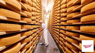 How Swiss Gruyere Cheese Is Made  How Its Made  Murrays Cheese [upl. by Norihs456]