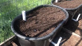 New Wicking Beds  Questions Answered [upl. by Margret]