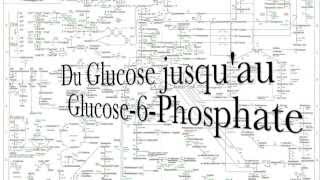 Glycolyse  Cycle de Krebs Thrift ShopMacklemore Parodie [upl. by Gorman]