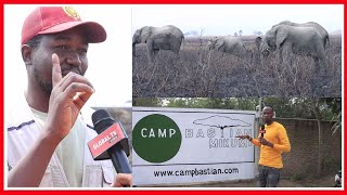 NDANI ya HIFADHI ya MIKUMI KUMBE KUNA TEMBO WAPOLE na WENYE HASIRA  CAMP BASTIAN WAWAKOSHA WENGI [upl. by Millman]