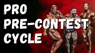 Pro Bodybuilder PreContest Cycle Example [upl. by Lorak]