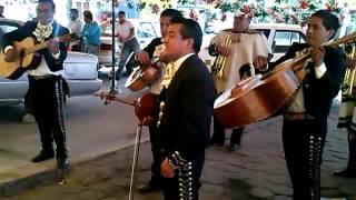 MARIACHI CENTENARIO MAÑANITAS A LA VIRGEN DE GUADALUPE 2012mp4 [upl. by Oly240]