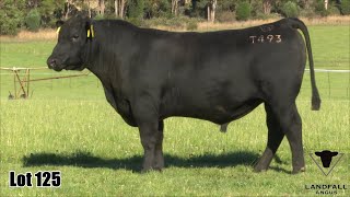 Lot 125 Landfall Rostella TFA22T493 [upl. by Piks]