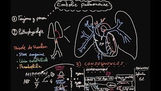 Embolie pulmonaire  Pathophysiologie  Partie 1  Docteur Synapse [upl. by Merth553]