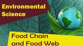 Food Chain and Food Web   Environmental Science [upl. by Olenolin796]