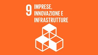 Agenda 2030 Obiettivo 9 Imprese innovazione e infrastrutture [upl. by Airemat997]