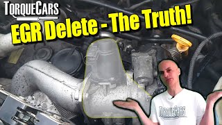 EGR DeleteEGR Removal  Worth The RiskEffort All You Need To Know About EGR Deletes [upl. by Dyol566]